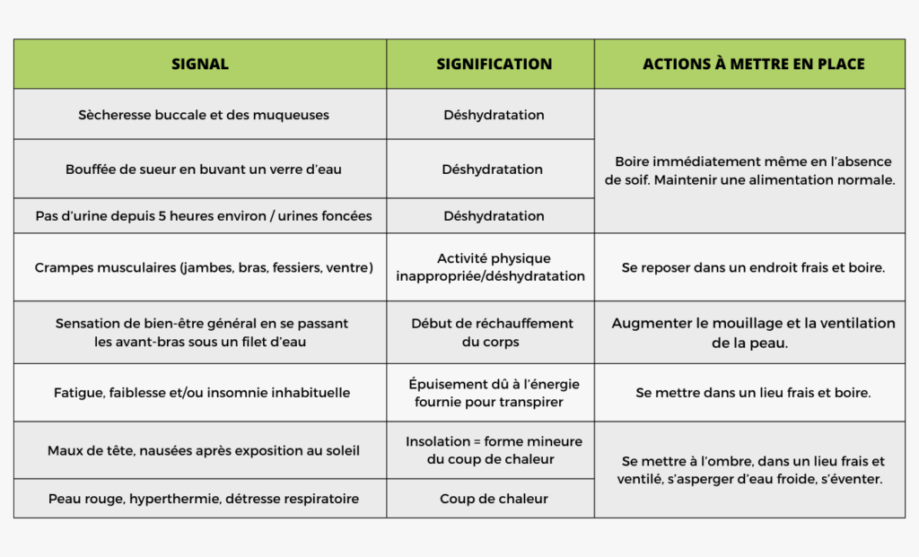 PLAN CANICULE 2023 : CONSEILS POUR NOS INTERVENANTS - Présence ...