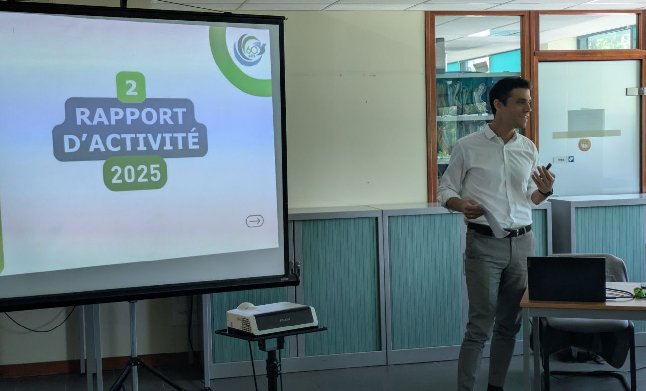 AG 2026 PVS 4